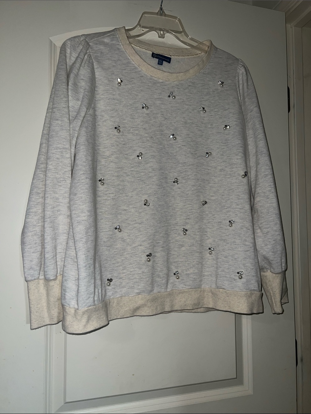 Democracy Light Gray Crewneck Sweater with Cream Trim and Pearl Accents